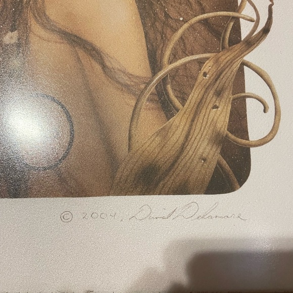 2004 David Delamare 11